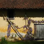 Domaine De Montagnol