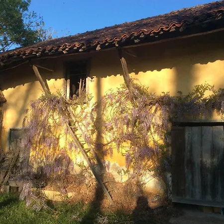 Bed & Breakfast Domaine De Montagnol