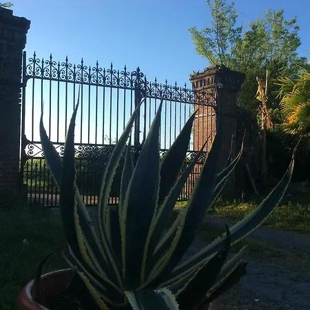 Domaine De Montagnol Sauveterre