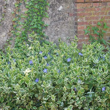 Domaine De Montagnol ベッド・アンド・ブレックファスト 3*