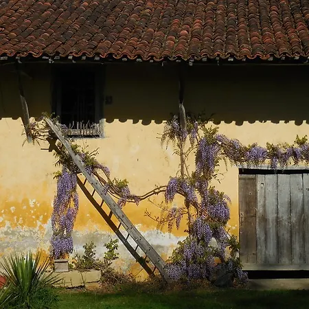 Domaine De Montagnol