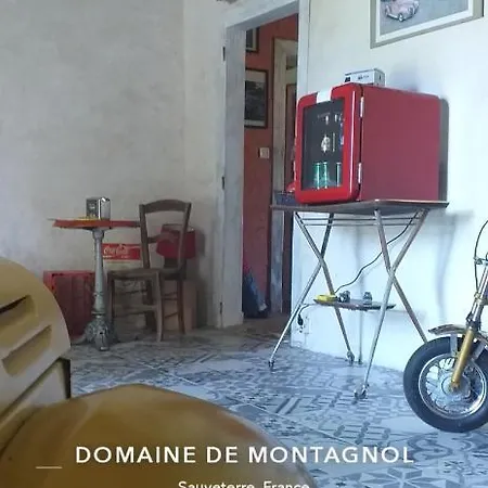 Domaine De Montagnol 3* Sauveterre