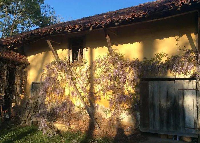 Bed and Breakfast Domaine De Montagnol