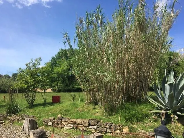 Domaine De Montagnol