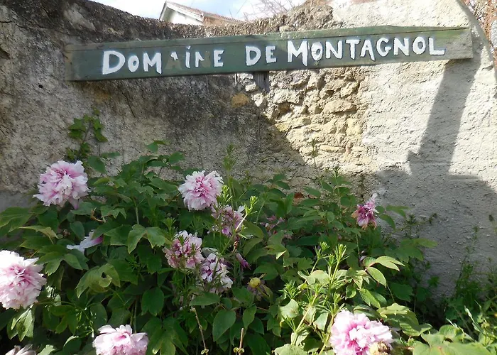 Domaine De Montagnol 3* Sauveterre (Gers)