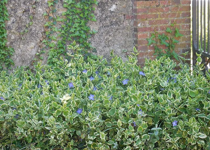 Domaine De Montagnol Bed and Breakfast 3*