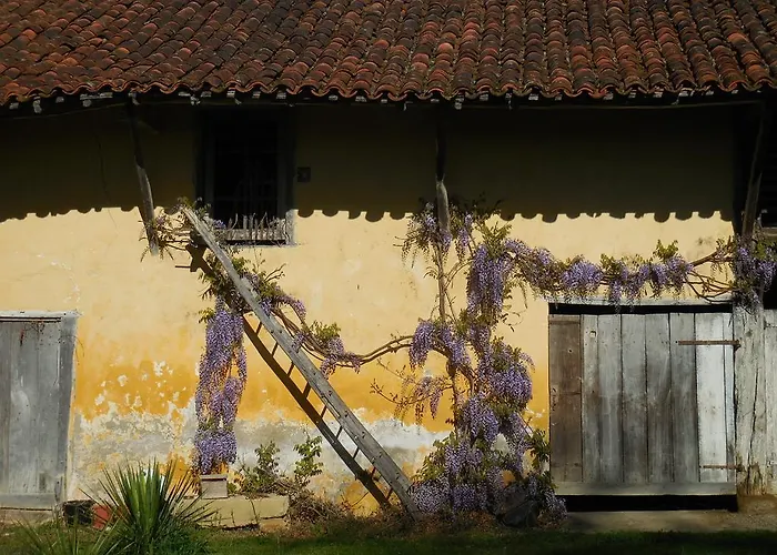 Domaine De Montagnol